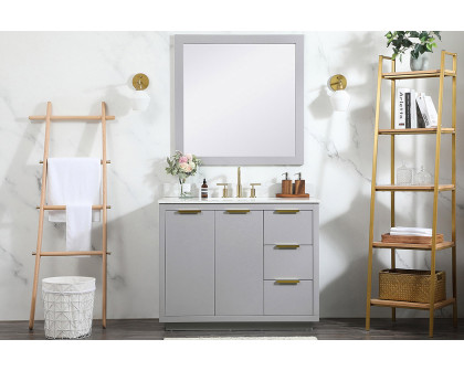 Elegant Bathroom Vanity - Gray (VF19442GR-BS)