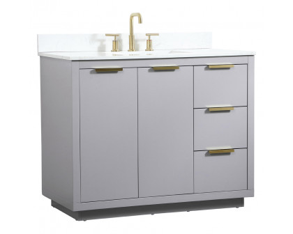 Elegant Bathroom Vanity - Gray (VF19442GR-BS)