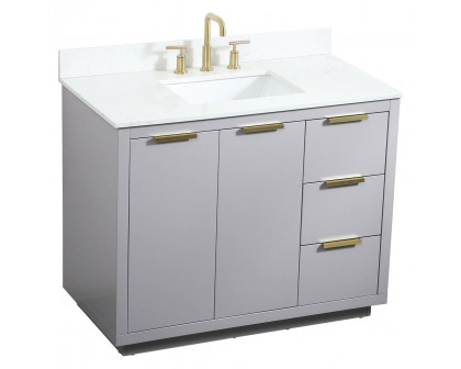 Elegant Bathroom Vanity - Gray (VF19442GR-BS)