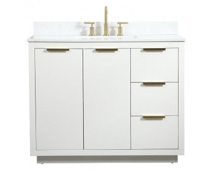 Elegant - Bathroom Vanity (PNT-VF19436)