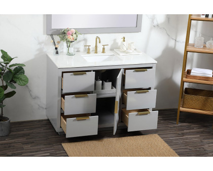 Elegant Bathroom Vanity - Gray (VF19448GR)