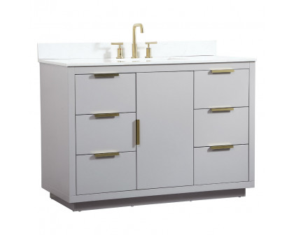 Elegant Bathroom Vanity - Gray (VF19448GR-BS)