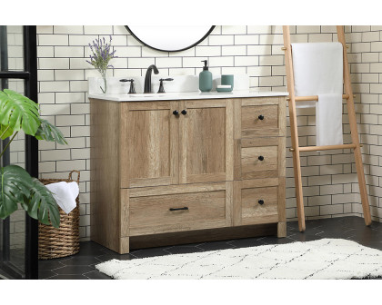 Elegant Bathroom Vanity - Natural Oak (VF2842NT-BS)