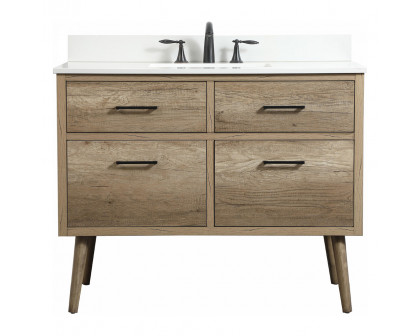 Elegant - Bathroom Vanity (PNT-VF41042)