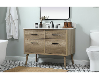 Elegant Bathroom Vanity - Natural Oak (VF41042NT-BS)