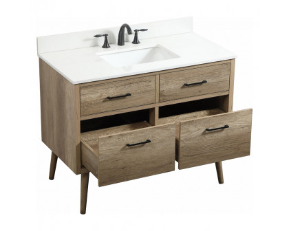 Elegant Bathroom Vanity - Natural Oak (VF41042NT-BS)