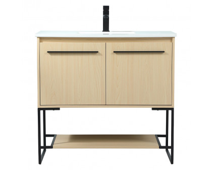 Elegant - Bathroom Vanity (PNT-VF42536)