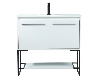 Elegant - Bathroom Vanity (PNT-VF42536)