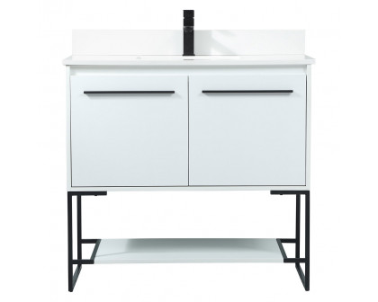 Elegant - Bathroom Vanity (PNT-VF42536)