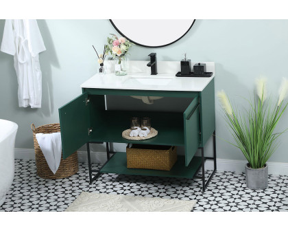 Elegant Bathroom Vanity - Green (VF42540MGN-BS)