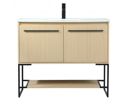 Elegant - Bathroom Vanity (PNT-VF42540)