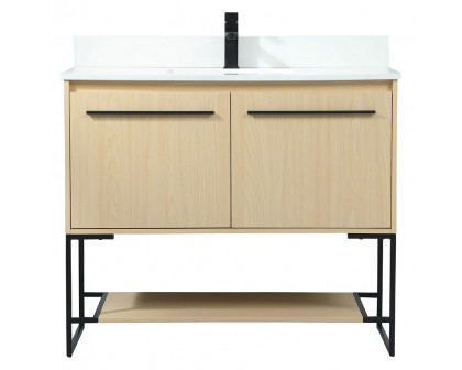 Elegant - Bathroom Vanity (PNT-VF42540)