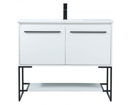 Elegant - Bathroom Vanity (PNT-VF42540)