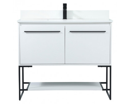 Elegant - Bathroom Vanity (PNT-VF42540)