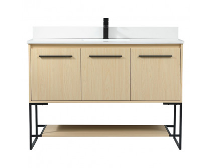 Elegant - Bathroom Vanity (PNT-VF42548)