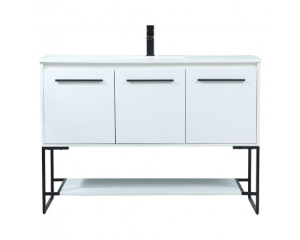 Elegant - Bathroom Vanity (PNT-VF42548)