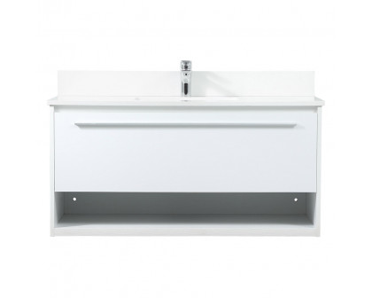 Elegant - Bathroom Vanity (PNT-VF43540)