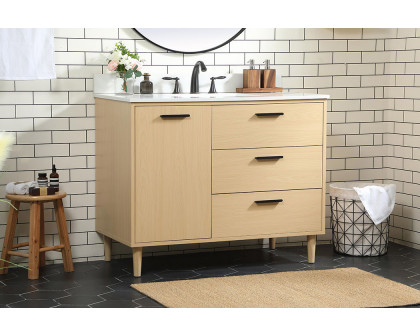 Elegant Bathroom Vanity - Maple (VF47042MMP-BS)