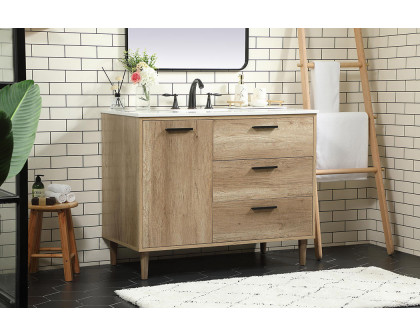 Elegant Bathroom Vanity - Natural Oak (VF47042NT)