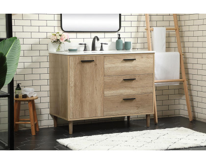 Elegant Bathroom Vanity - Natural Oak (VF47042NT-BS)