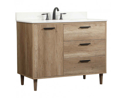 Elegant Bathroom Vanity - Natural Oak (VF47042NT-BS)