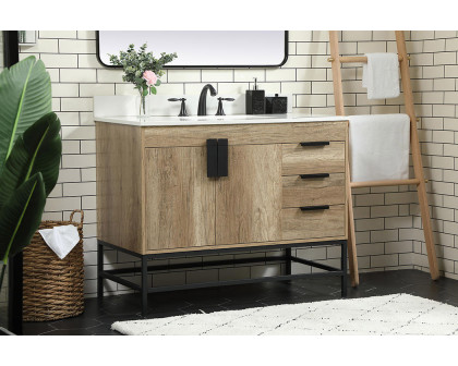 Elegant Bathroom Vanity - Natural Oak (VF48842NT-BS)