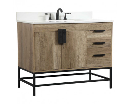 Elegant Bathroom Vanity - Natural Oak (VF48842NT-BS)