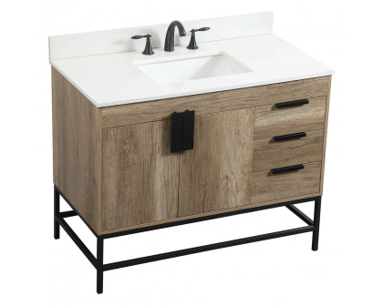 Elegant Bathroom Vanity - Natural Oak (VF48842NT-BS)