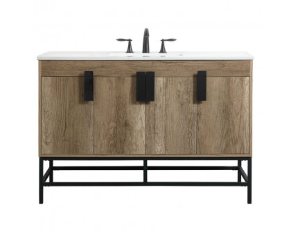 Elegant - Bathroom Vanity (PNT-VF48848)