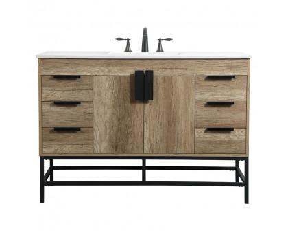 Elegant - Bathroom Vanity (PNT-VF488W48)