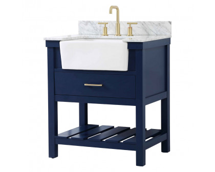 Elegant Bathroom Vanity - Blue (VF60130BL-BS)