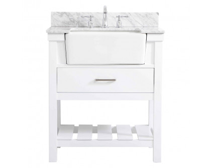 Elegant - Bathroom Vanity (PNT-VF60130)