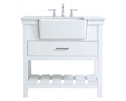 Elegant - Bathroom Vanity (PNT-VF60136)