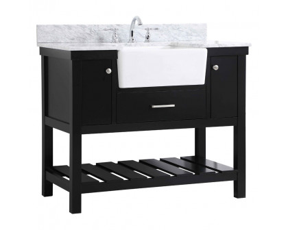 Elegant Bathroom Vanity - Black (VF60142BK-BS)