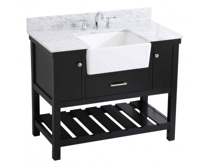 Elegant Bathroom Vanity - Black (VF60142BK-BS)