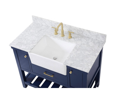 Elegant Bathroom Vanity - Blue (VF60142BL-BS)