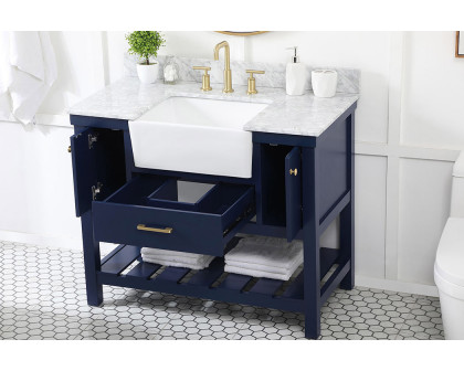 Elegant Bathroom Vanity - Blue (VF60142BL-BS)