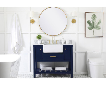 Elegant Bathroom Vanity - Blue (VF60142BL-BS)