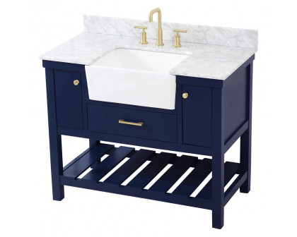 Elegant Bathroom Vanity - Blue (VF60142BL-BS)