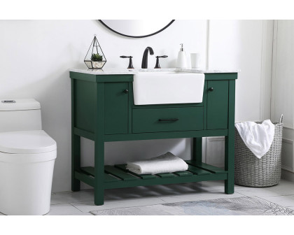 Elegant Bathroom Vanity - Green (VF60142GN)