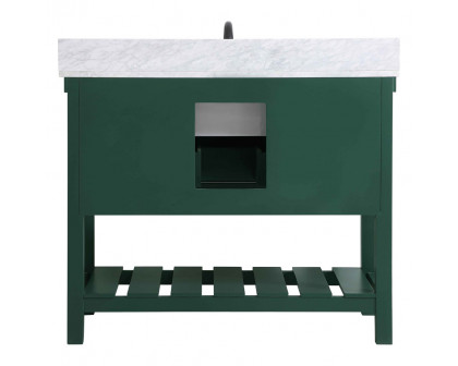 Elegant Bathroom Vanity - Green (VF60142GN-BS)