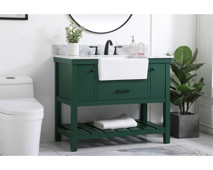 Elegant Bathroom Vanity - Green (VF60142GN-BS)