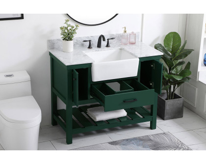 Elegant Bathroom Vanity - Green (VF60142GN-BS)