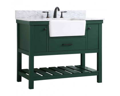 Elegant Bathroom Vanity - Green (VF60142GN-BS)