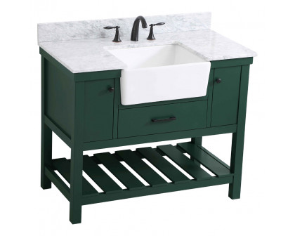 Elegant Bathroom Vanity - Green (VF60142GN-BS)