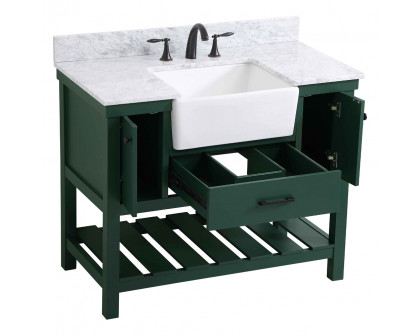 Elegant Bathroom Vanity - Green (VF60142GN-BS)