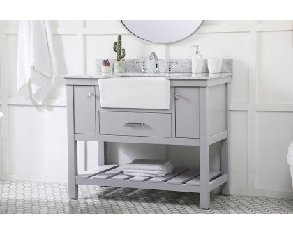 Elegant Bathroom Vanity - Gray (VF60142GR-BS)