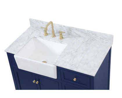 Elegant Bathroom Vanity - Blue (VF60242BL-BS)