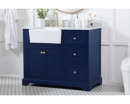 Elegant Bathroom Vanity - Blue (VF60242BL-BS)