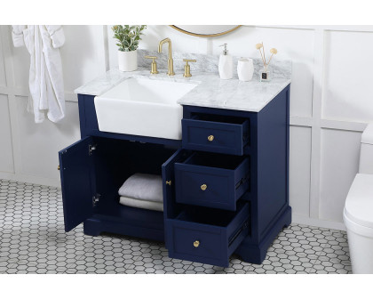 Elegant Bathroom Vanity - Blue (VF60242BL-BS)